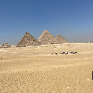 Meet your Posher, Adel